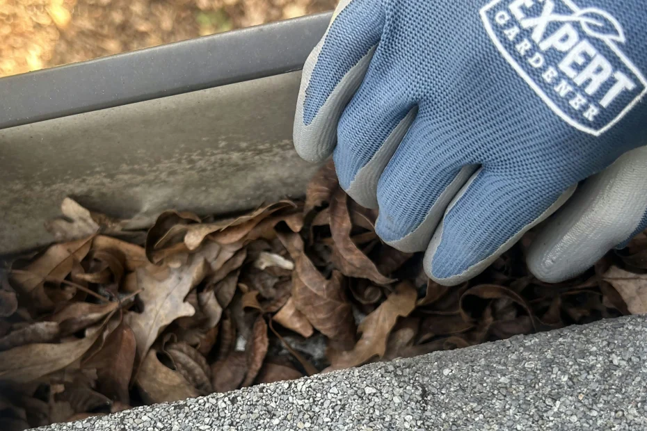 Gutter Cleaning Estero FL