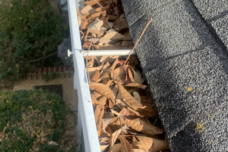 Gutter Cleaning Estero FL