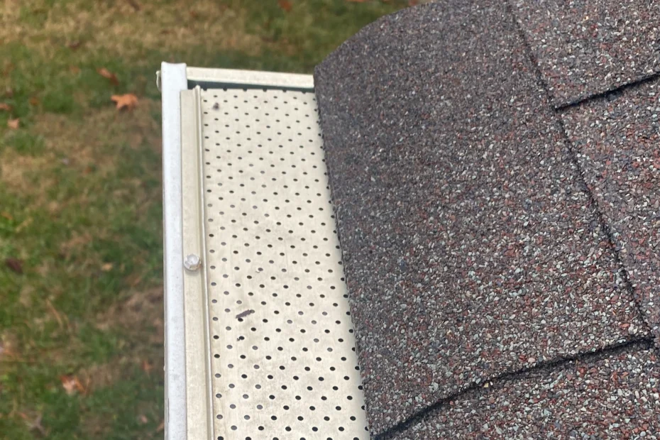 Gutter Cleaning Estero FL