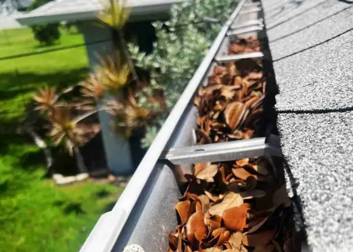 Gutter Cleaning Estero FL home page